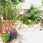 Iliotropio 3*