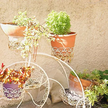 Aparthotel Iliotropio