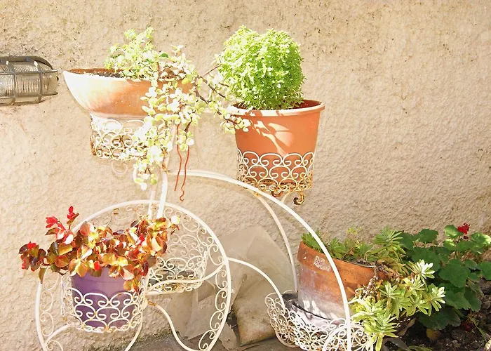 Aparthotel Iliotropio